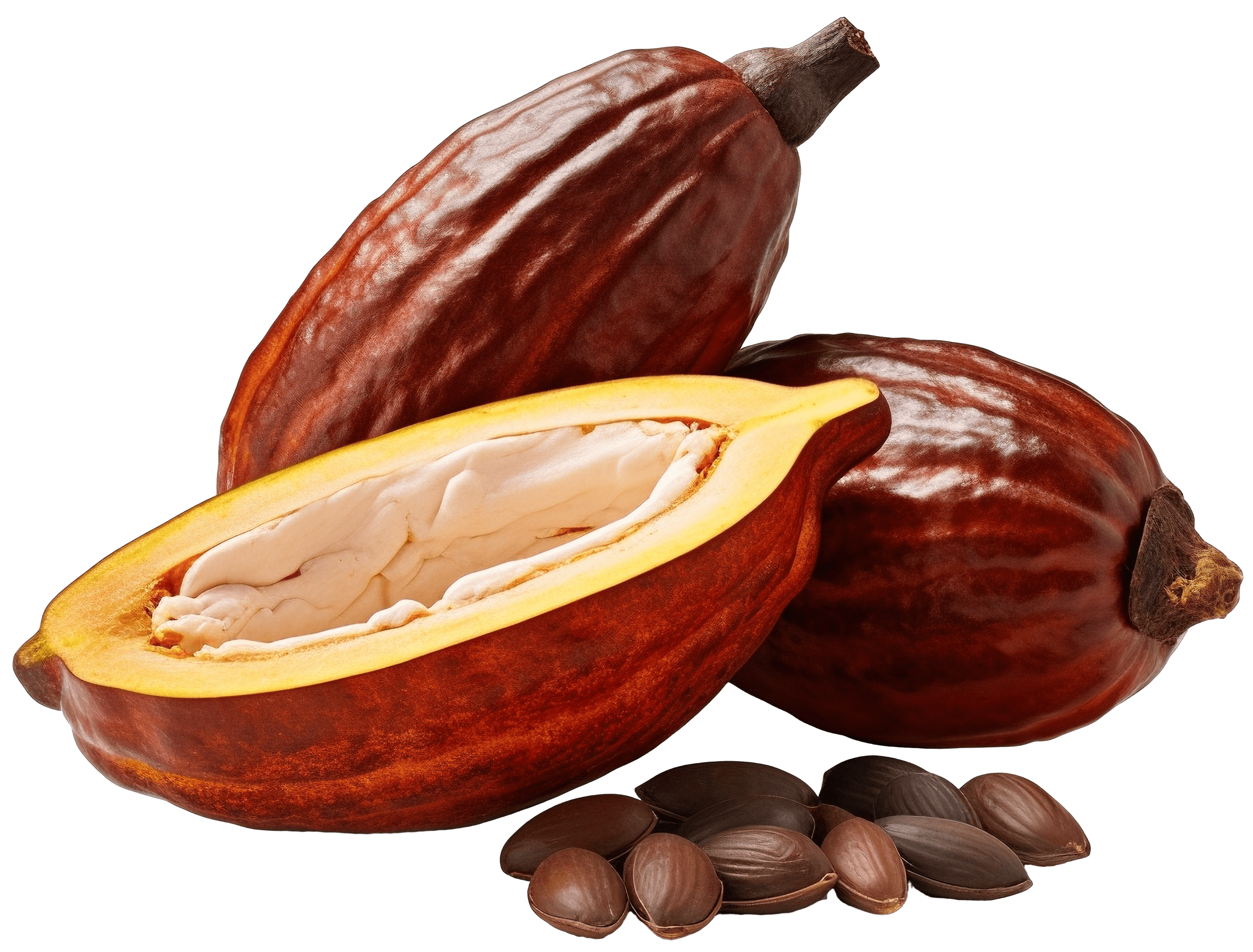 Ingredients Image